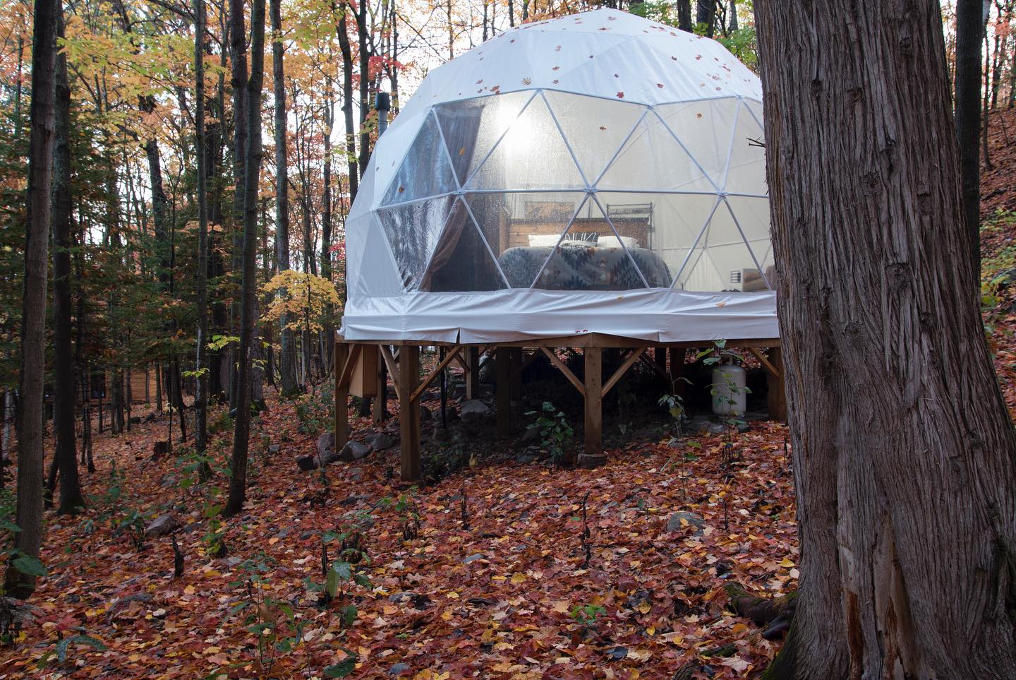 A glamping dome with a luxurious bed in the middle of an autumnal forest filled with colourful foliage.