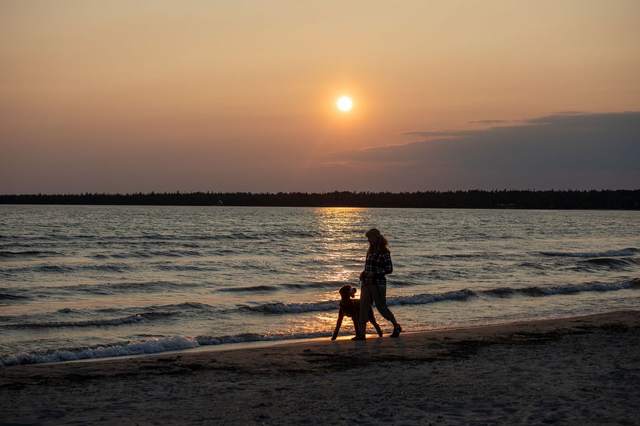 A woman and dog walk side by side on Providence Bay Beach at sunset.