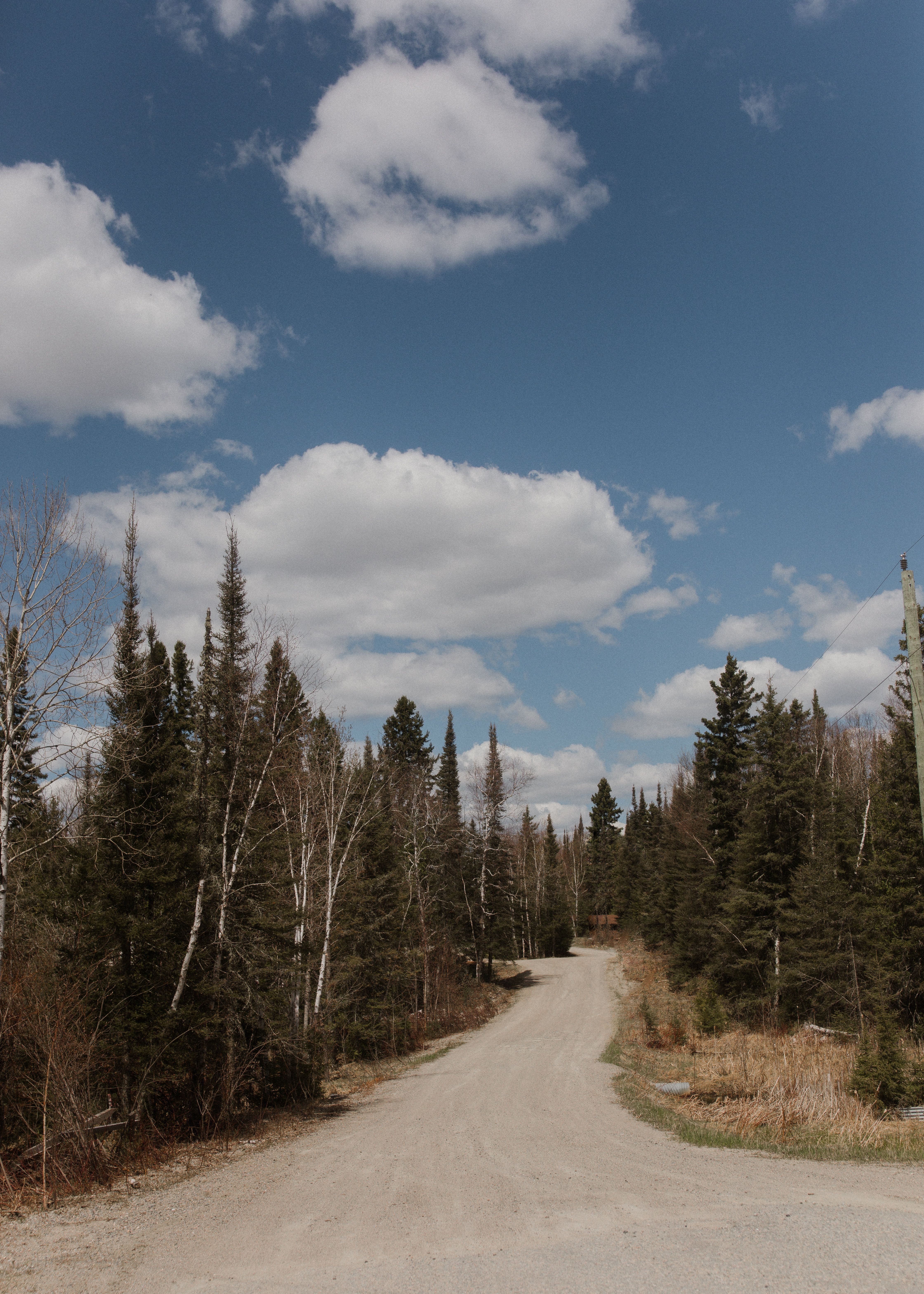 A landscape which displays a sunny day with clouds in the sky and a dirt road with trees located on either side of it 