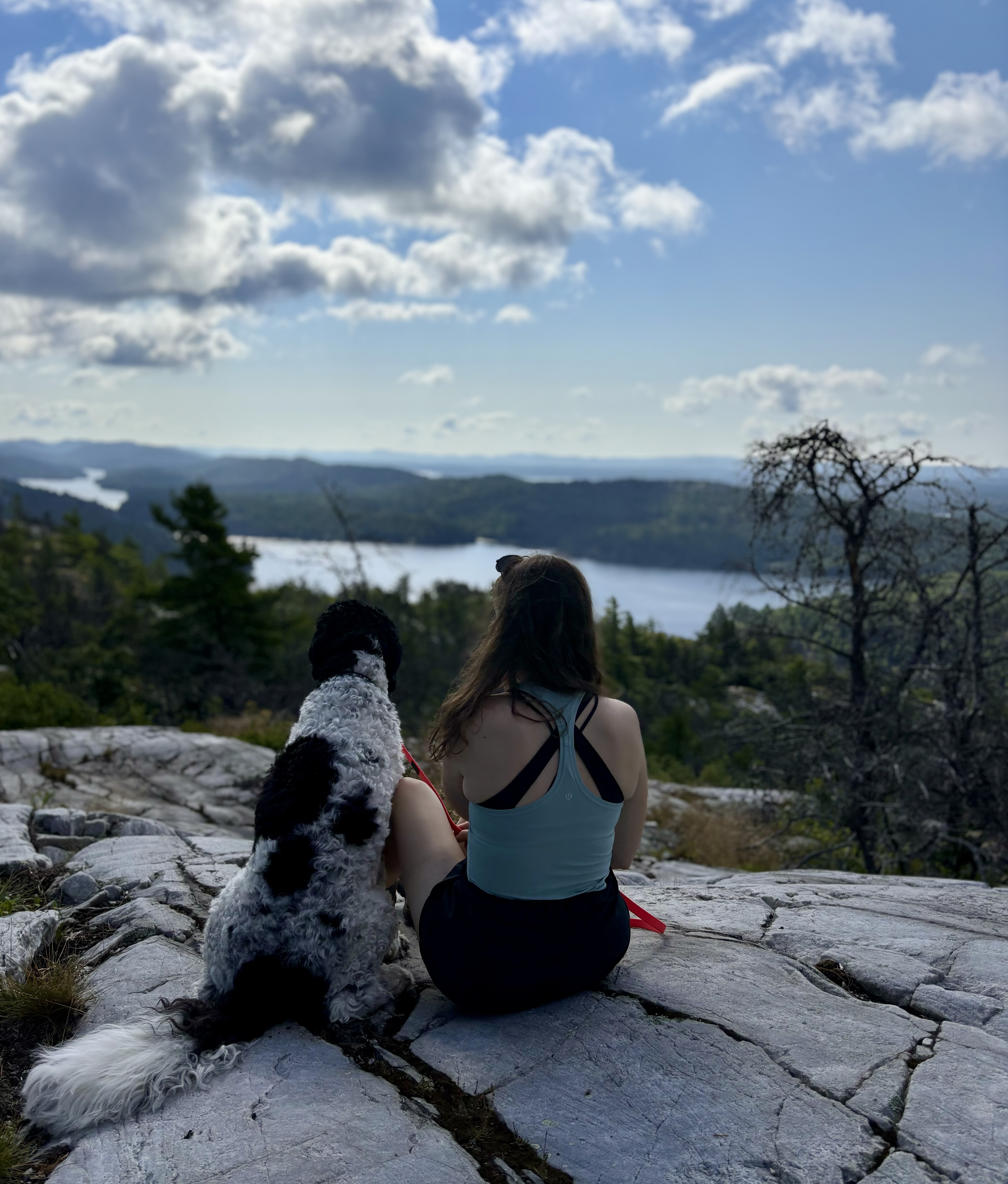 Willisville Lookout; a woman and a dog sit on a smooth rock face overlooking a shimmering lake and forest below.