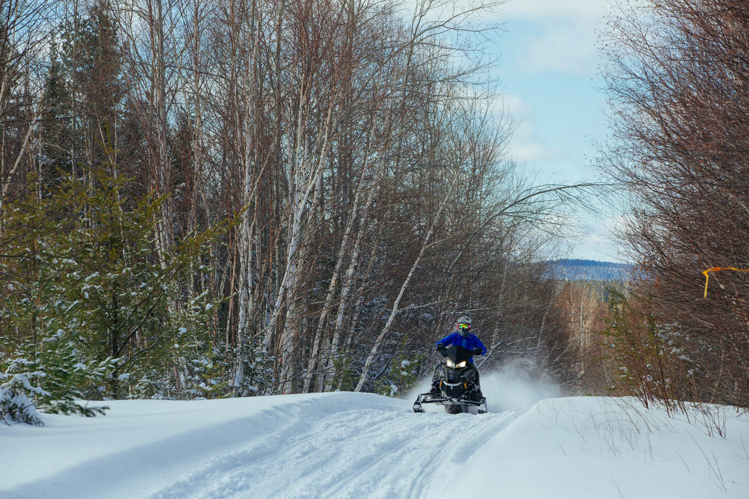 A landscape view of a person snowmobiling at the top of a hill with trees on either side.