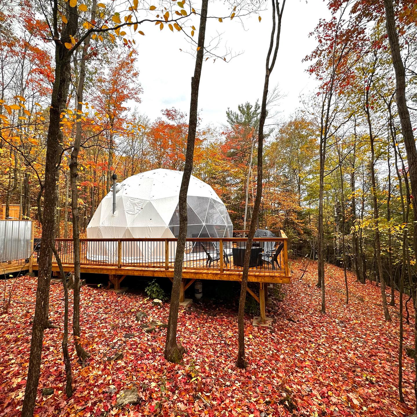 A white geodesic dome with wooden deck in the middle of a vibrant autumn forest of red, yellow and green foliage. 