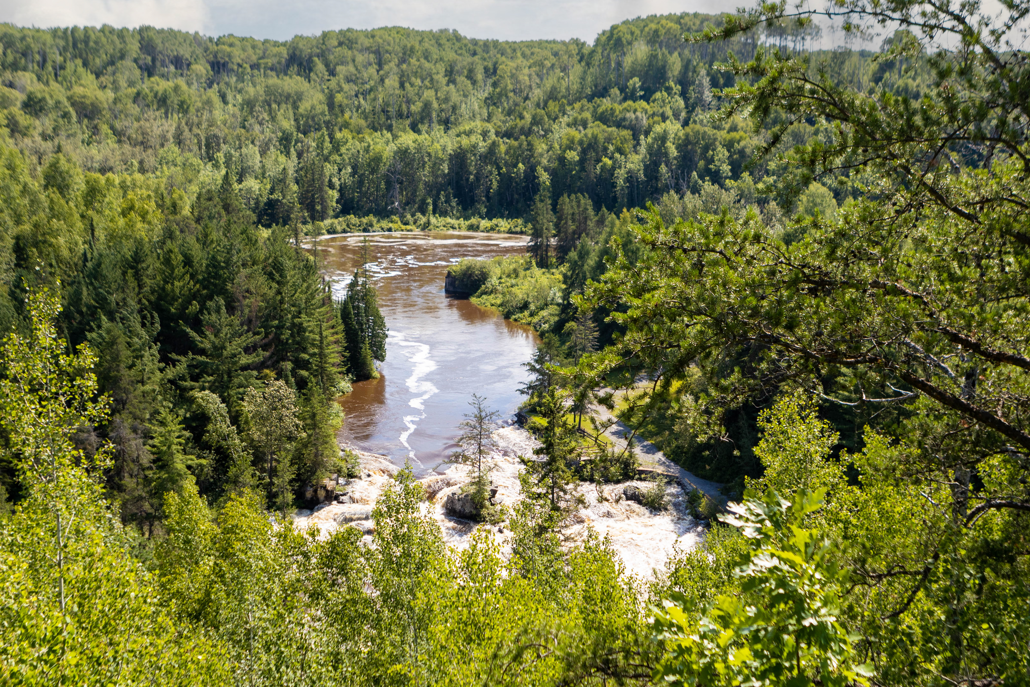 High Falls Lookout; a view of a thundering waterfall surrounded in all directions by thick green forest on a summer day. 