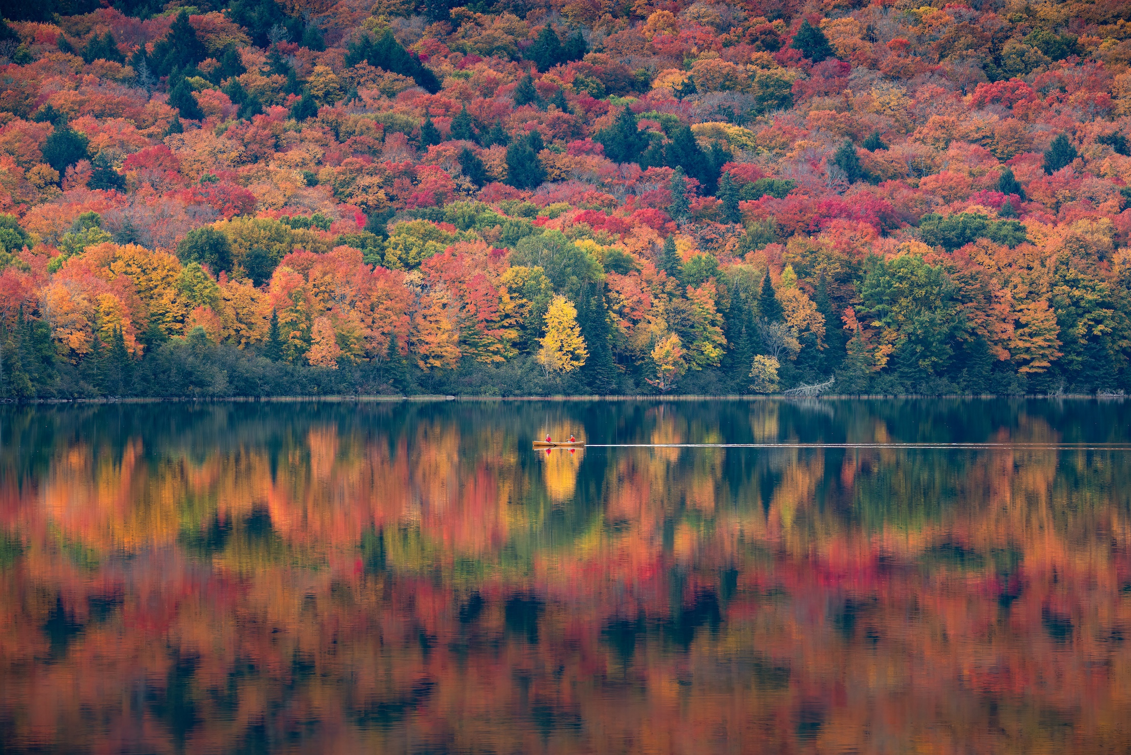 With views like this, it’s no wonder why people travel here from around the world to view Algonquin’s fall colour splendour.  Credit: Jesse & Susan - @FollowMeNorth