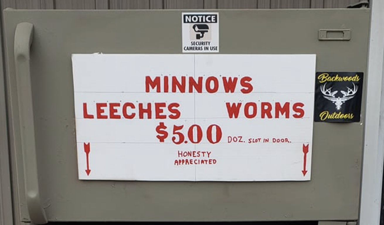 Minnows leeches worms