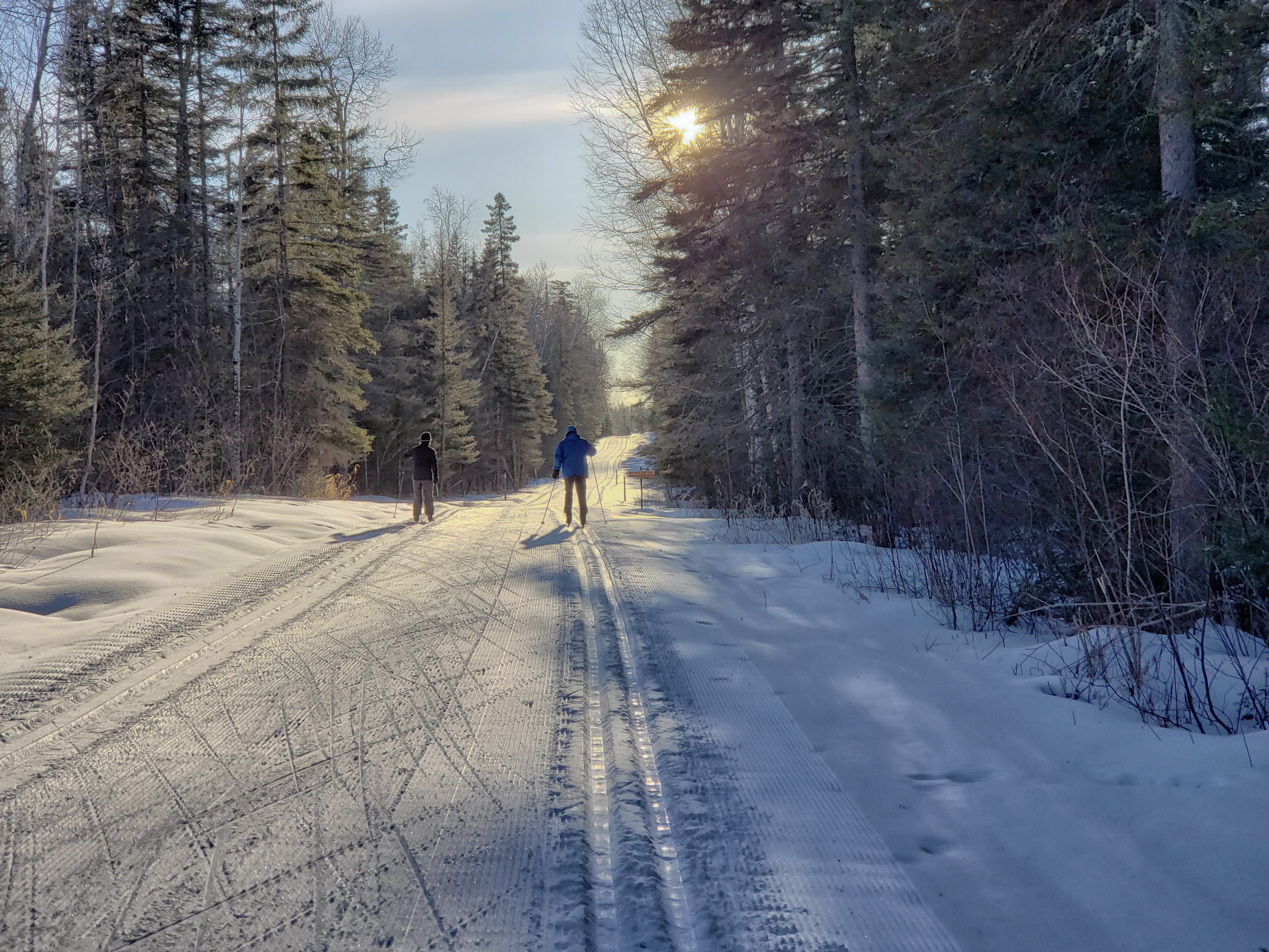 Cross-country skiiers head down a snowy forest ski trail under a golden late afternoon sun. 