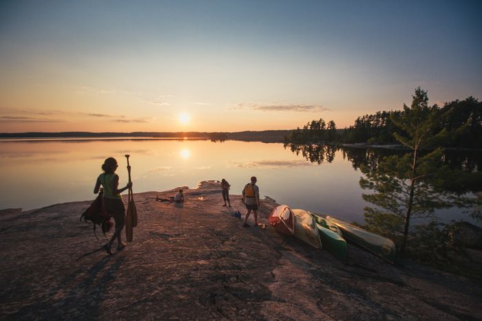 paddlers rush to a row of canoes resting at the side of a forest lake at sunset