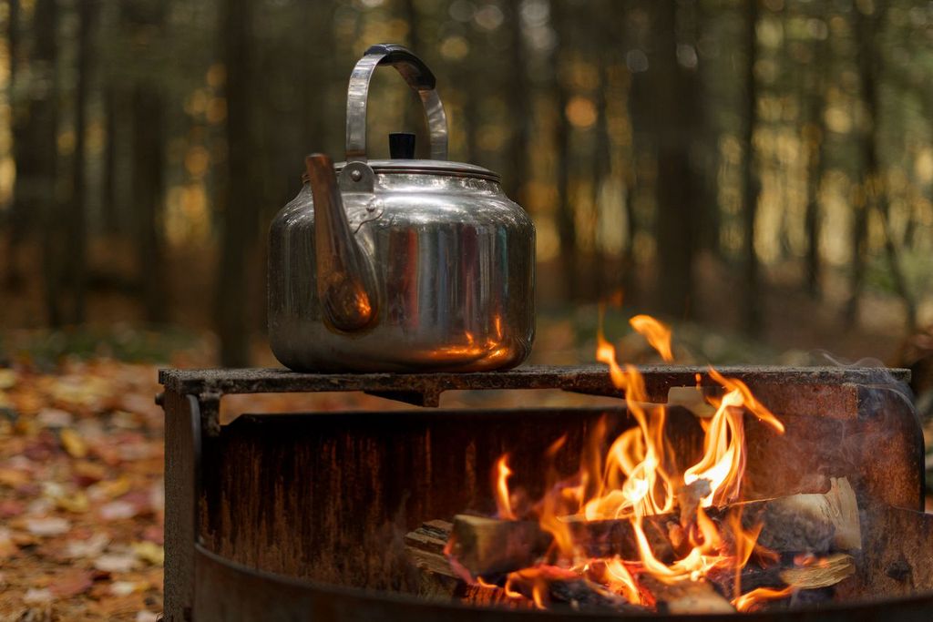 a metal kettle sitting on a grate over top of a campfire in the forest.