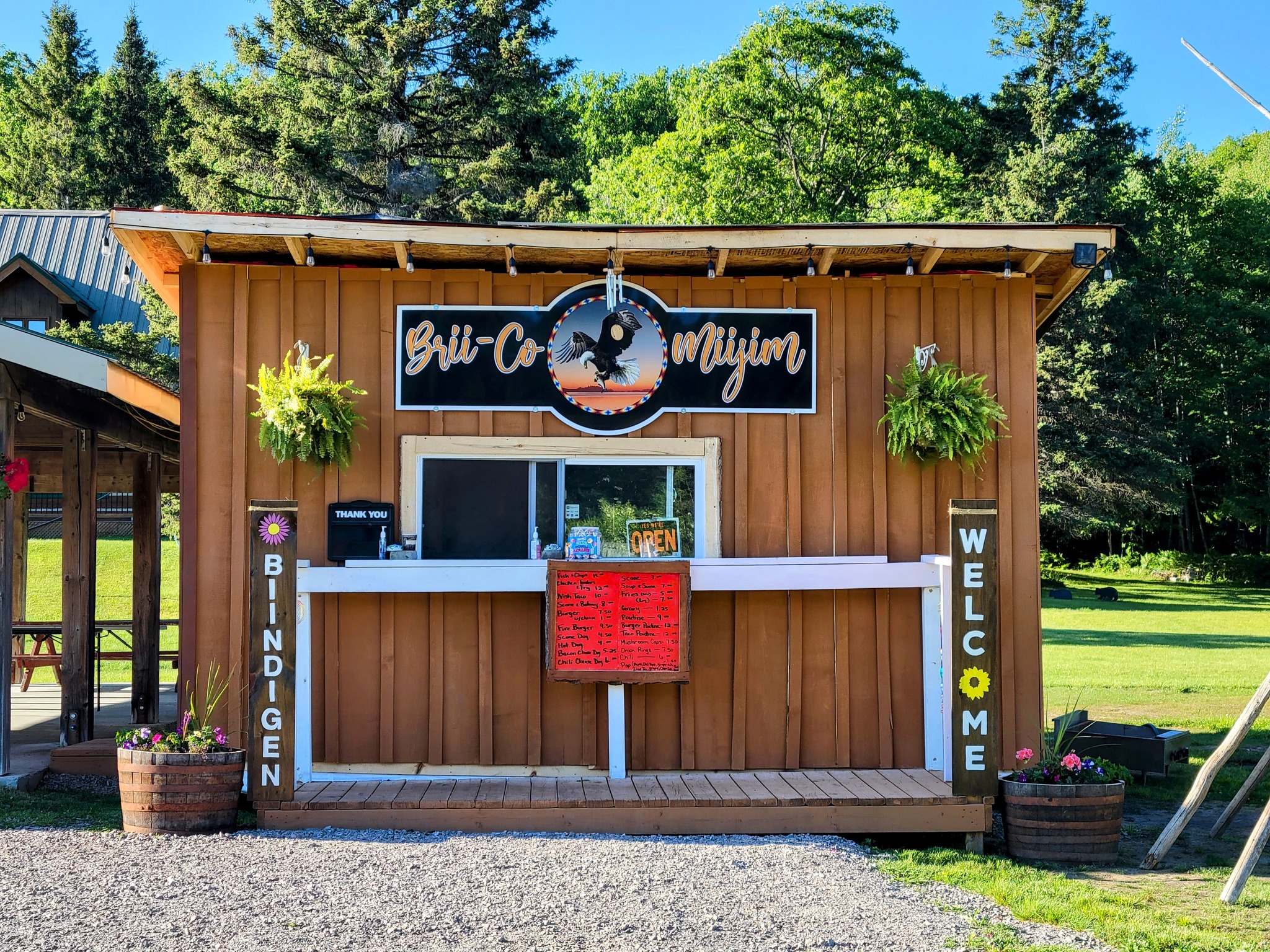 Brii-Co Miijim; a tidy wooden food stand decorated with green hanging plants and potted flowers. Thick green forest and blue sky are in the background.