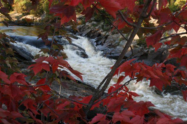 red maple branches in front of a glassy pool leading into a cascading waterfall with rocky banks.