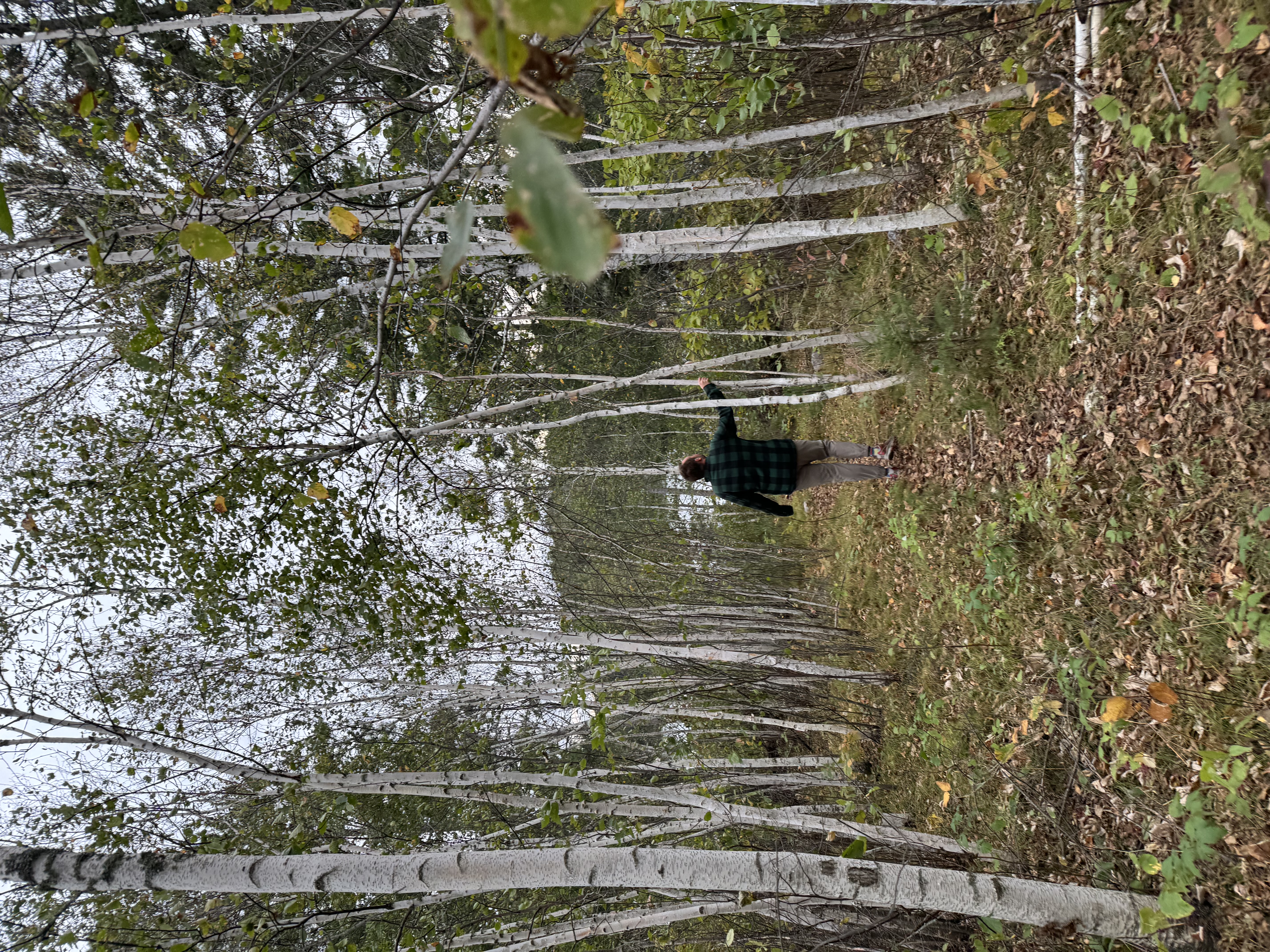 Tunnel Island Hiking Trail in Kenora, Ontario