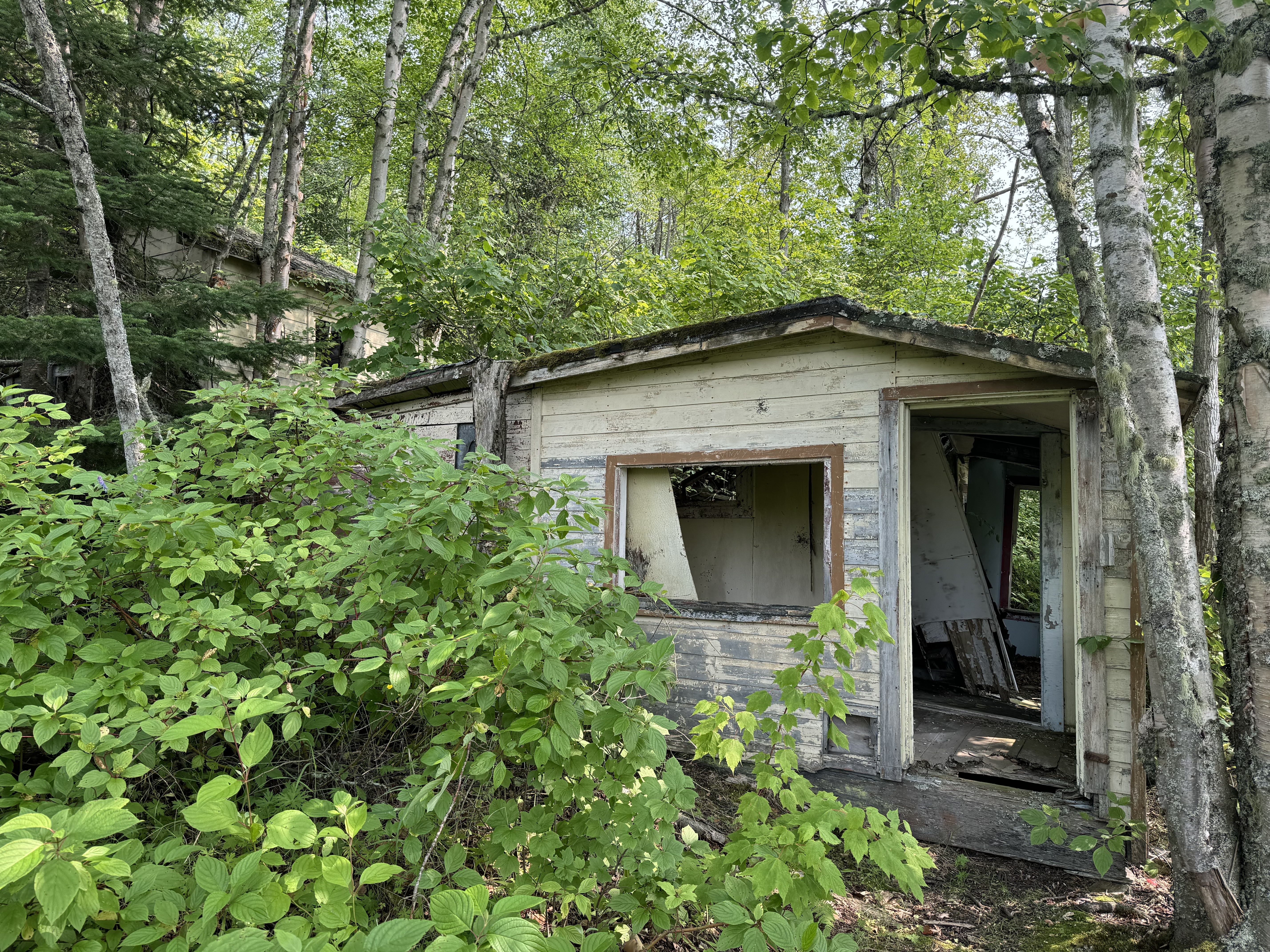 An abandoned cabin near Jackfish, Ontario.  Credit: Kaydi Pyette | @kaydi_