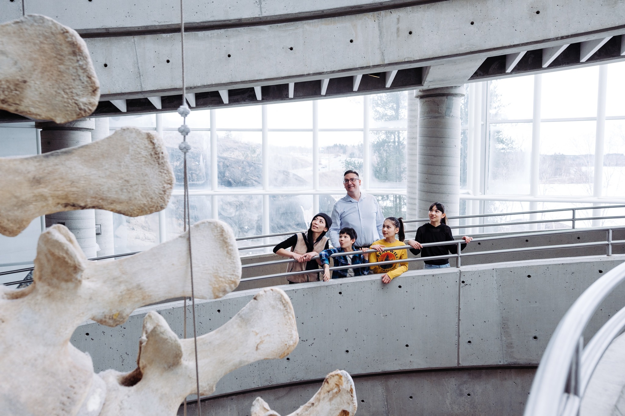 a family stands in a display room at Science North, looking in awe at a giant dinosaur skeleton in the centre of the room. 