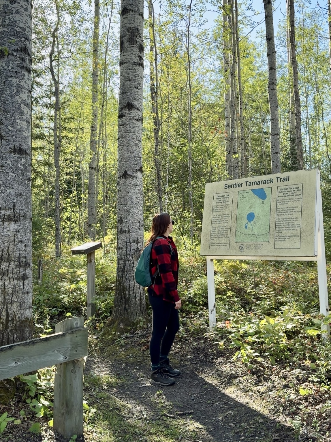 a woman wearing a backpack, reading an informational sign about the Sentier Tamarack hiking trail, surrounded by tall green aspen trees under a bright sunny sky.