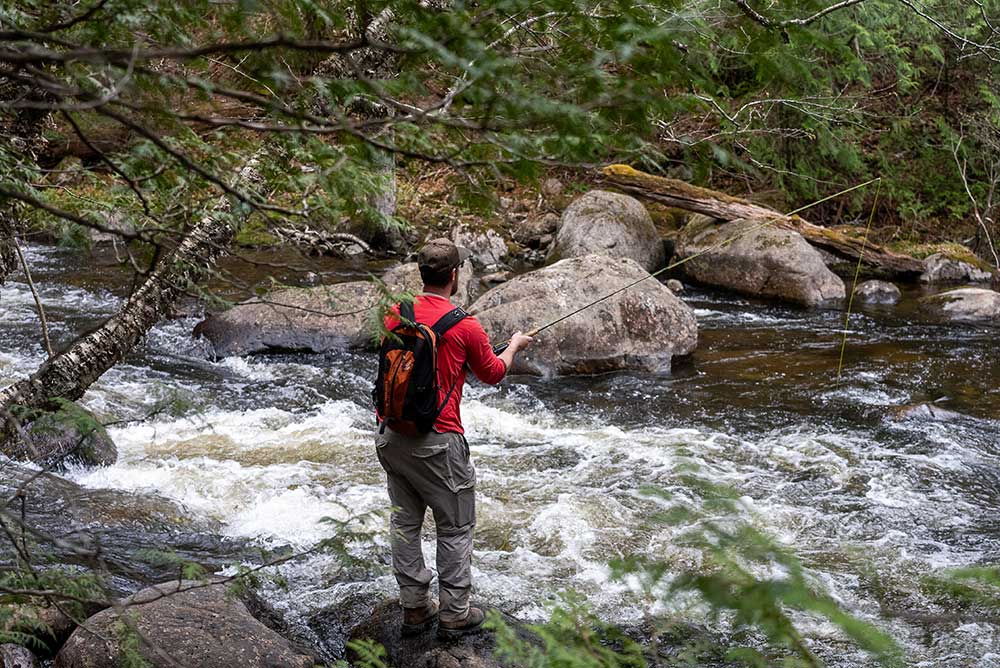 northern skies resort fly fishing stream