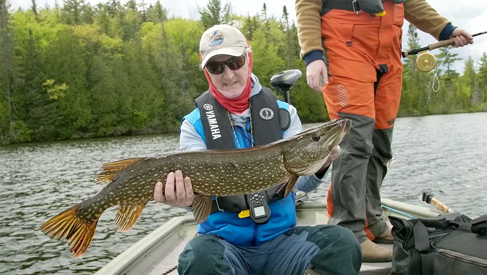 northern pike