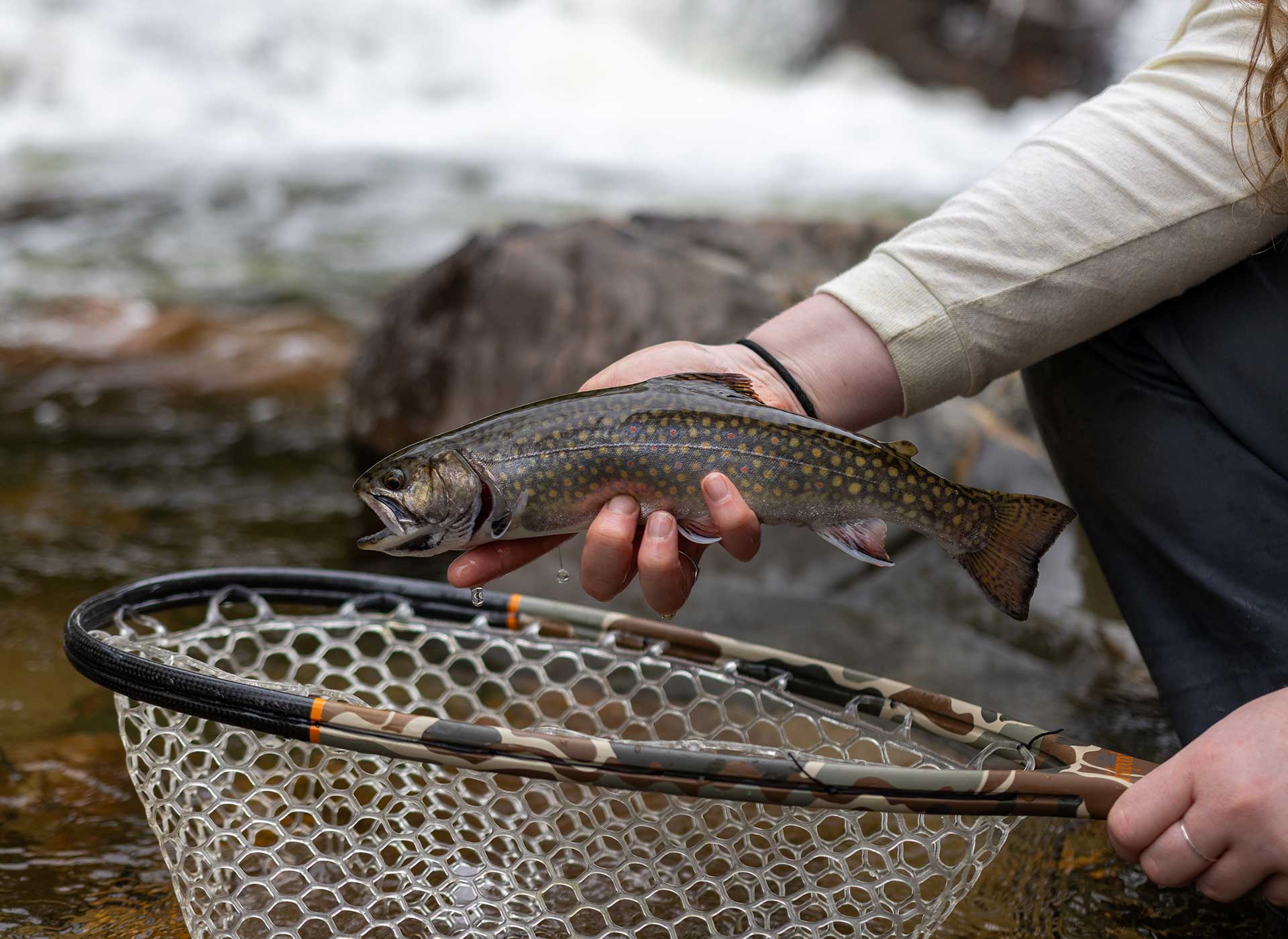 ontario brook trout fishing