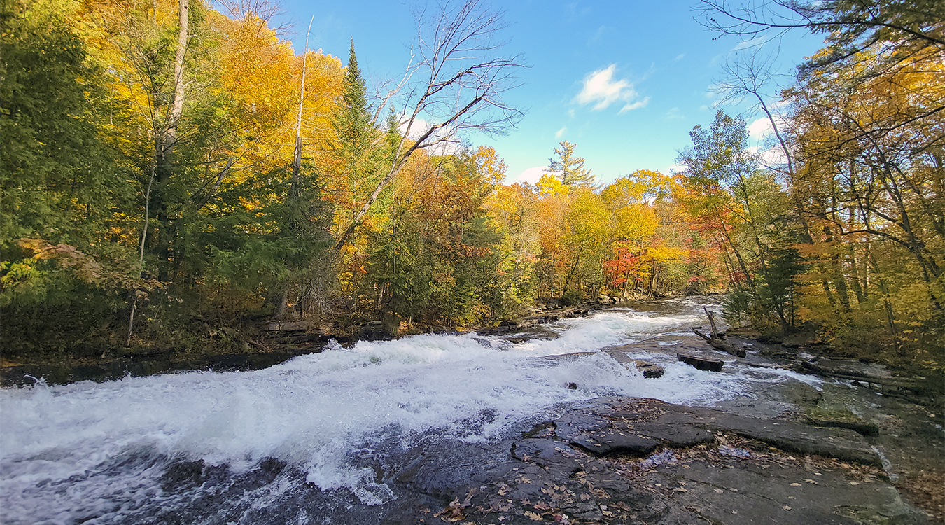 white rapids surrounded by yellow and green autumn forest under a blue sky.