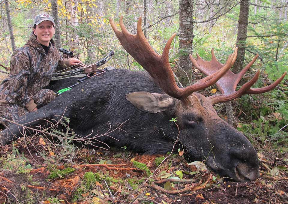 happy day lodge moose hunting