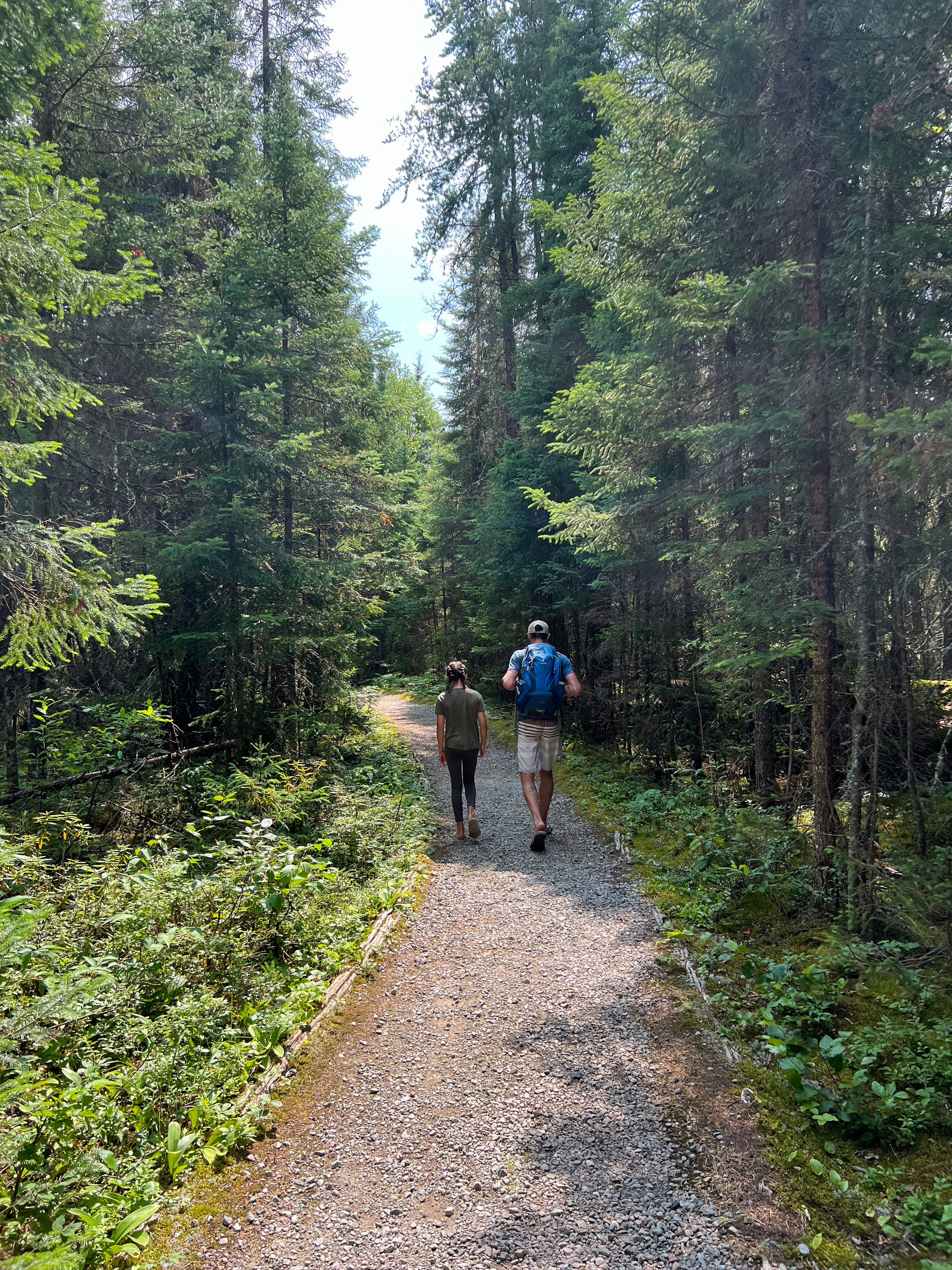 Family walking down a trail