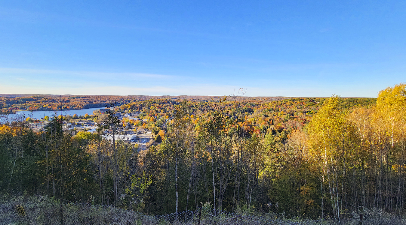 a forested valley in the autumn under a vivid blue sky.