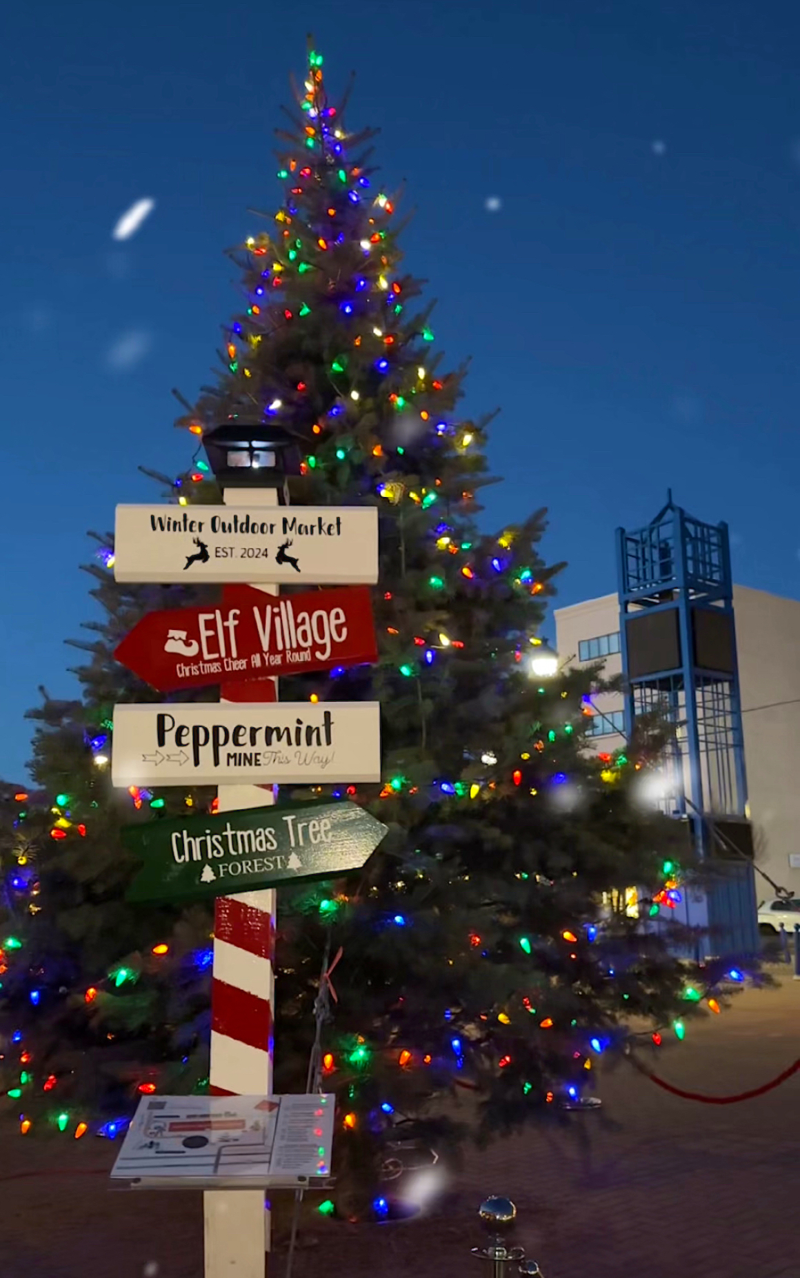 A Christmas tree outside at night.