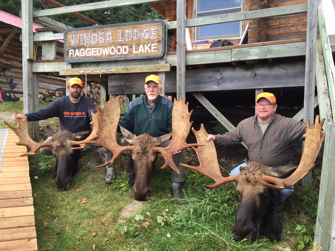 winoga lodge moose hunting