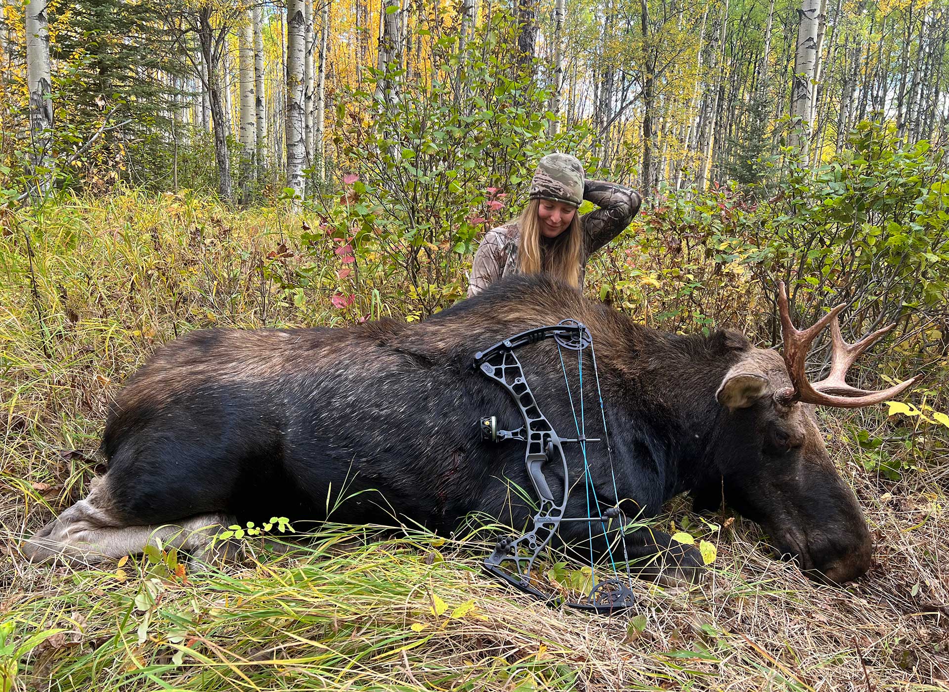 ontario hunter dispatched moose