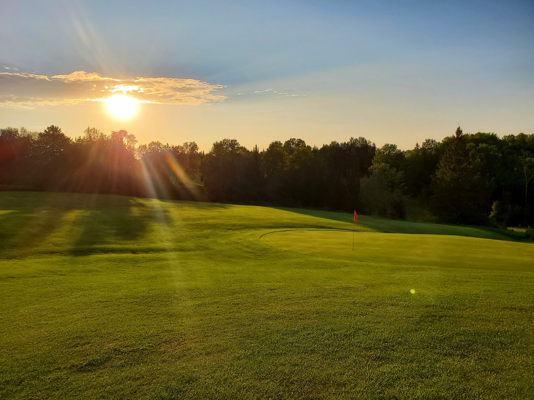 A rolling green golf course surrounded by dense green forest on a summer evening.