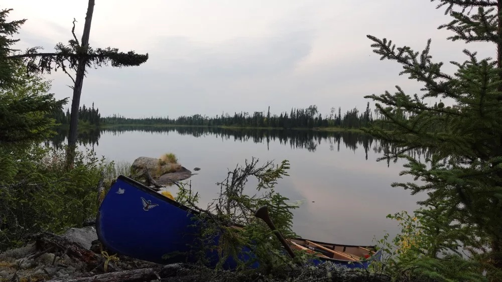 Opasquia Provincial Park is a remote wilderness park in Northwestern Ontario, known for its untouched boreal forest and abundant wildlife. Credit: Kevin Callan