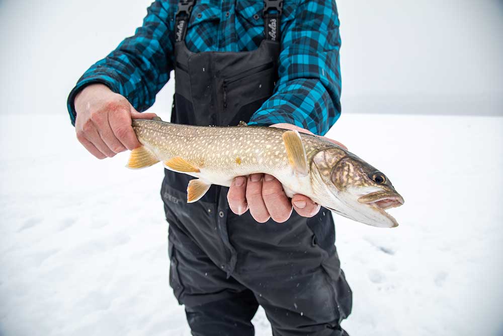 trout-icefishing-algoma