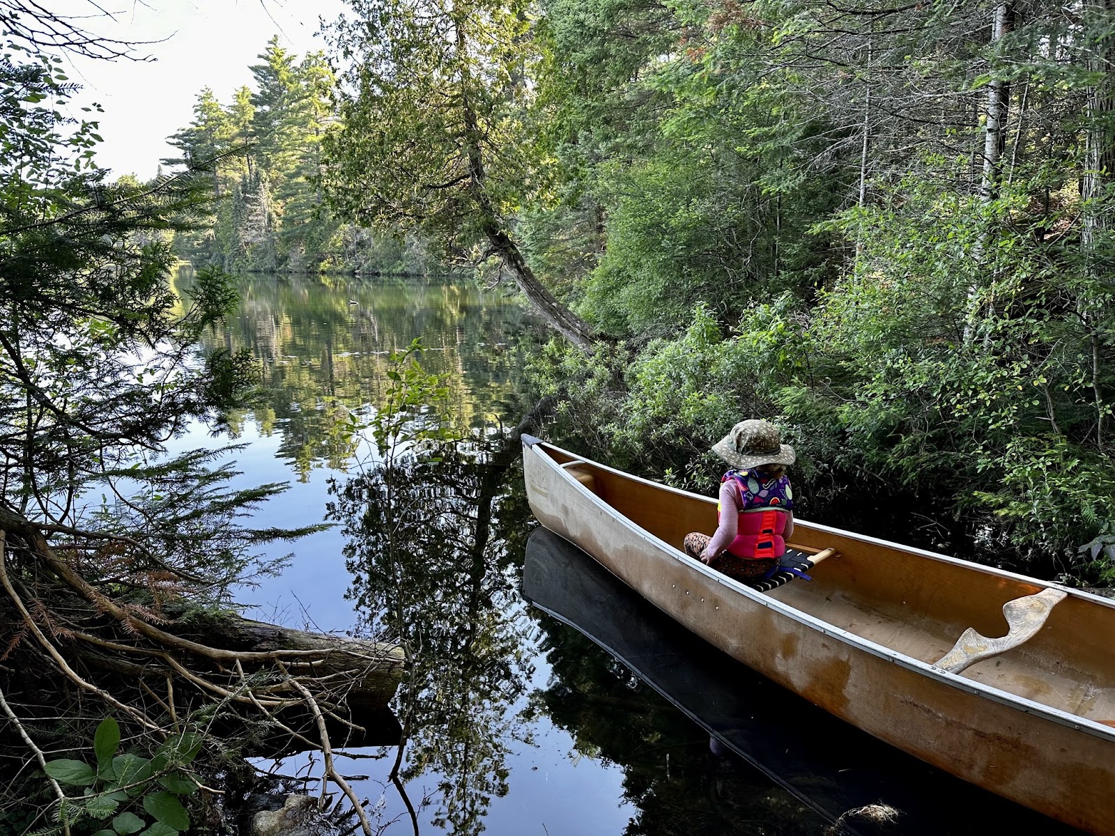 a person sits in a large canoe as it moves from a lush forest bank into glassy open lake water on a summer day.  