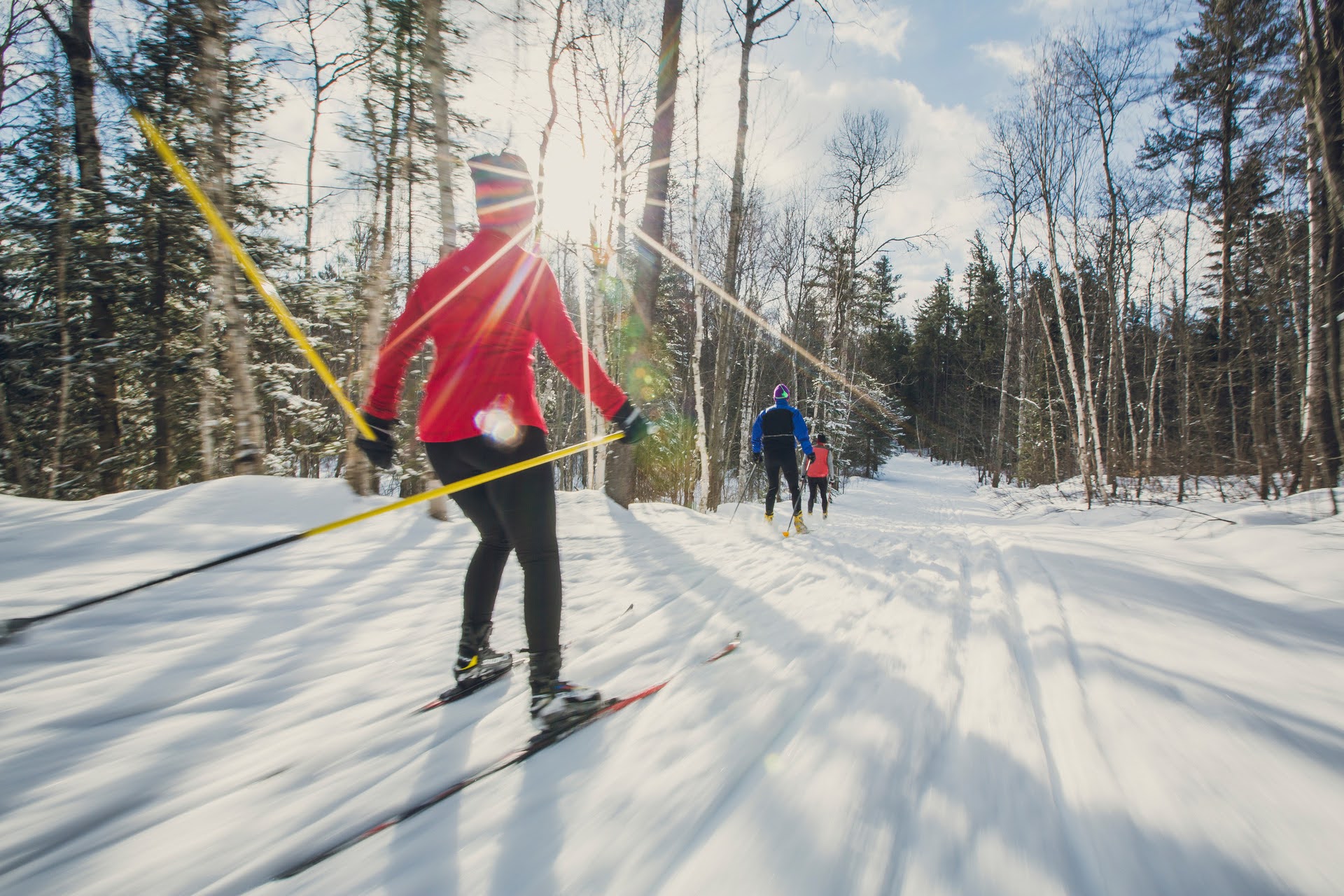 Two people cross country skiing down a sunny winter trail through a forest.