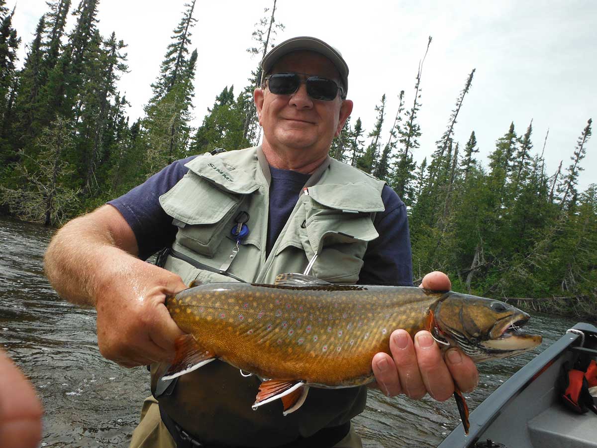 Esnagami-Brook-Trout