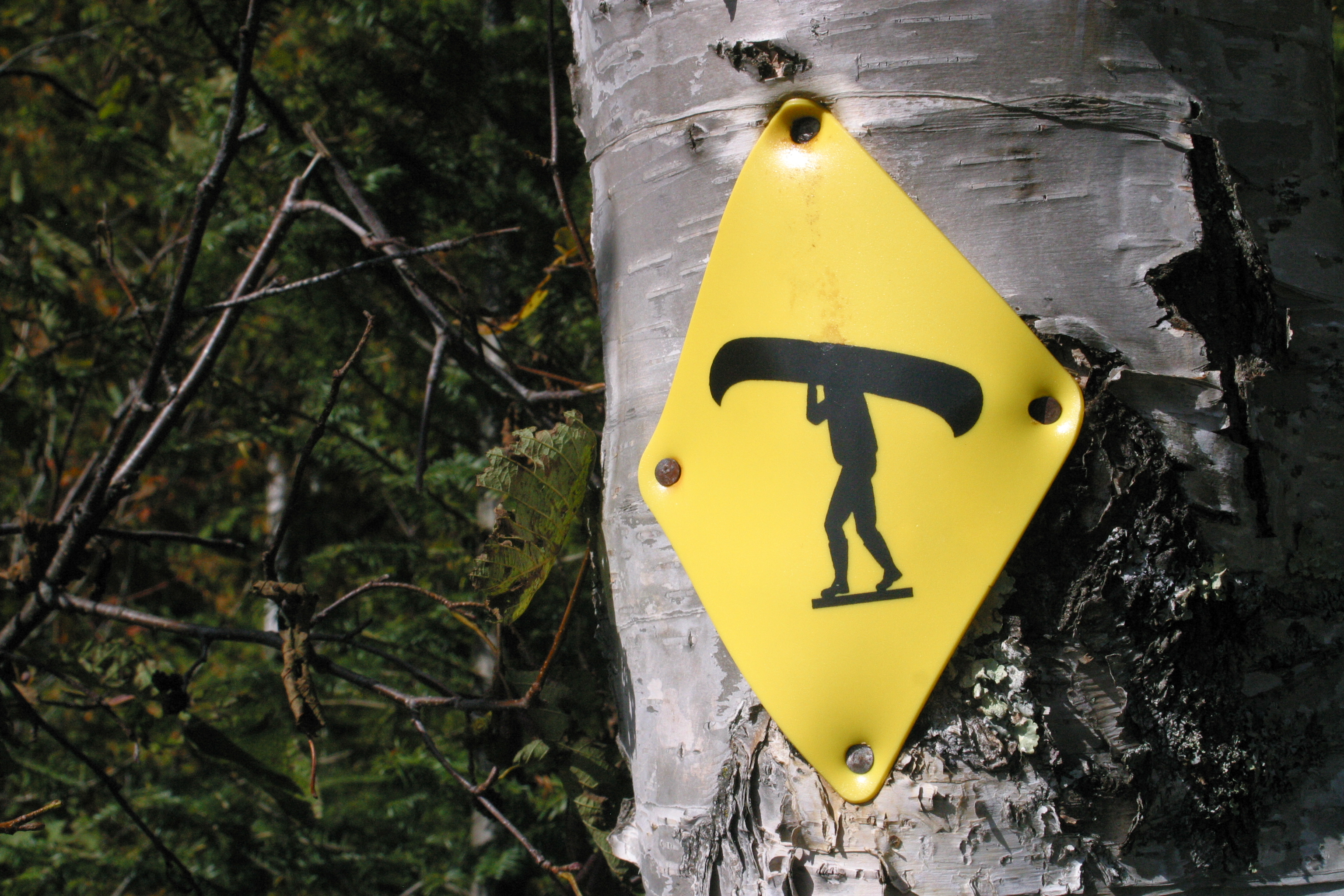 Atikokan is all about paddling in Quetico Park