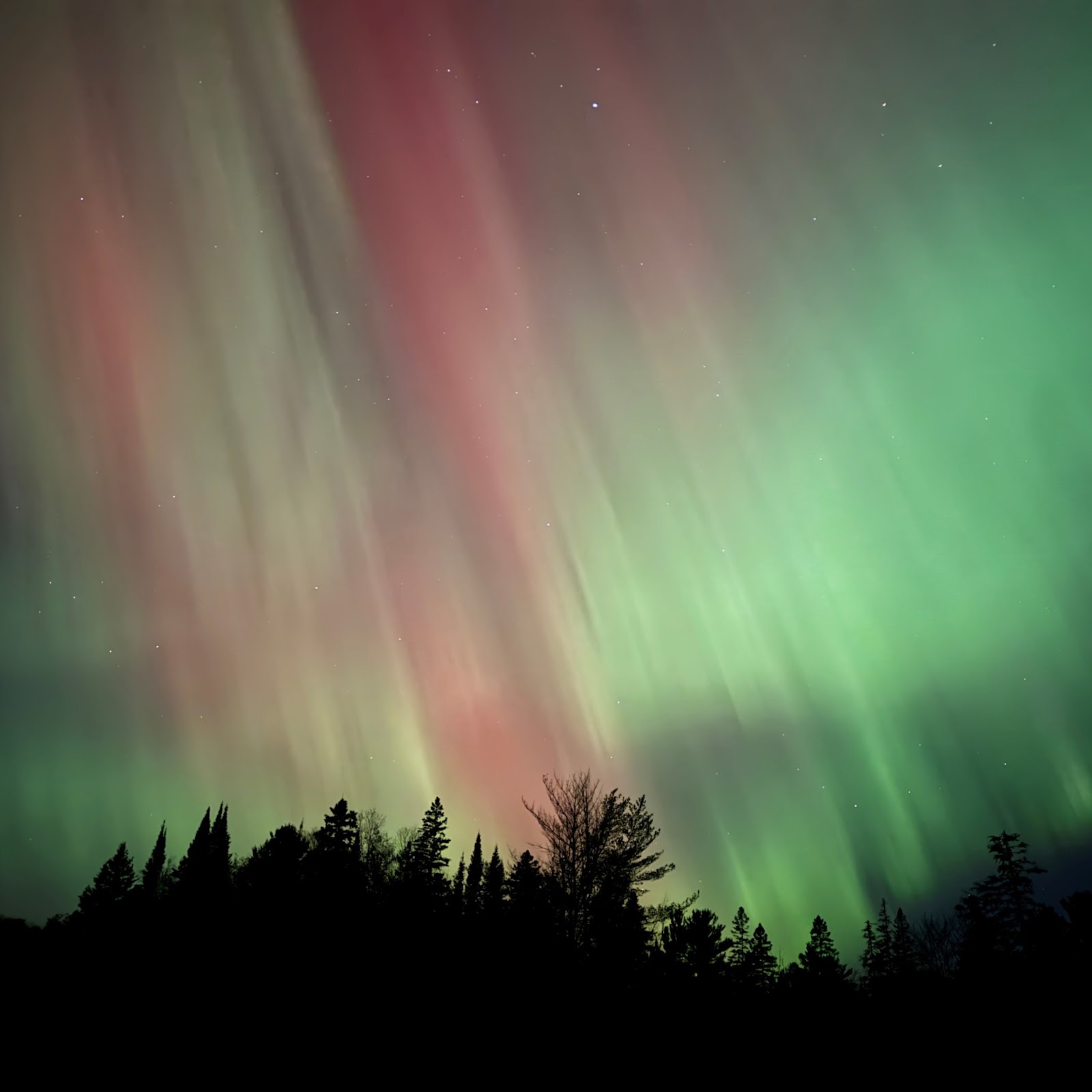 northern lights streak the sky with bright green and pink dancing lights above a black silhouetted forest. 