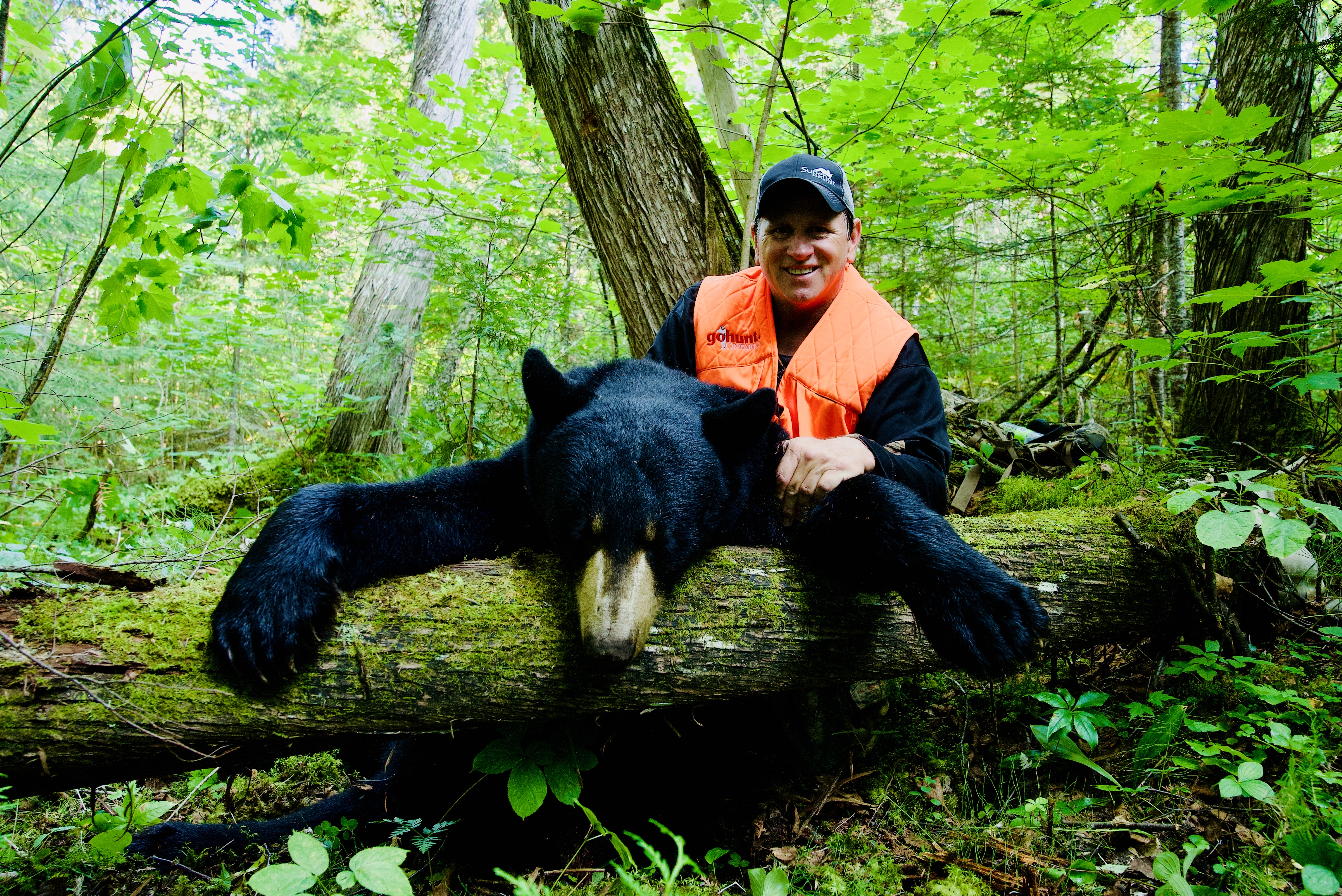 Pine Portage Lodge - Bear Hunt - Superior Country