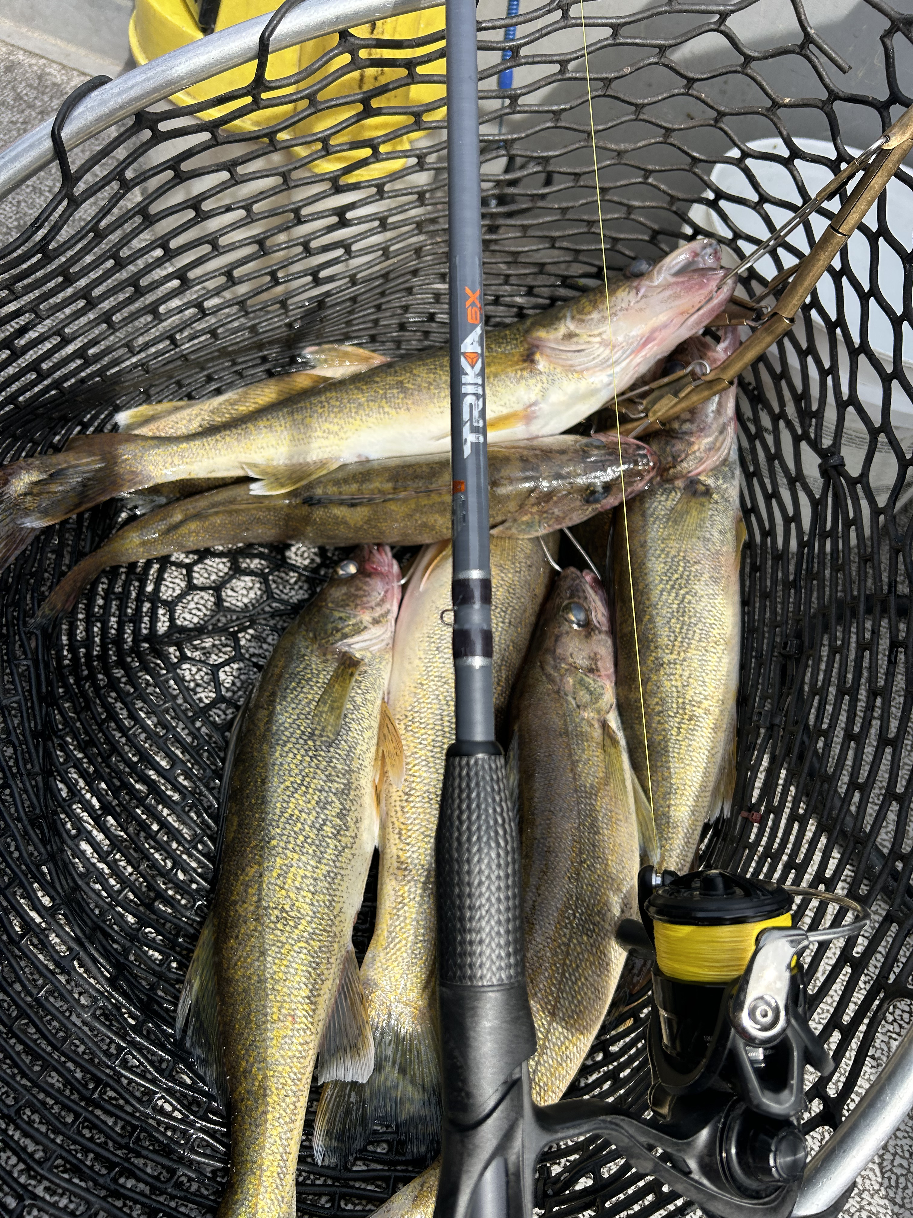 Pine Portage Lodge - Walleye Fishing - Superior Country