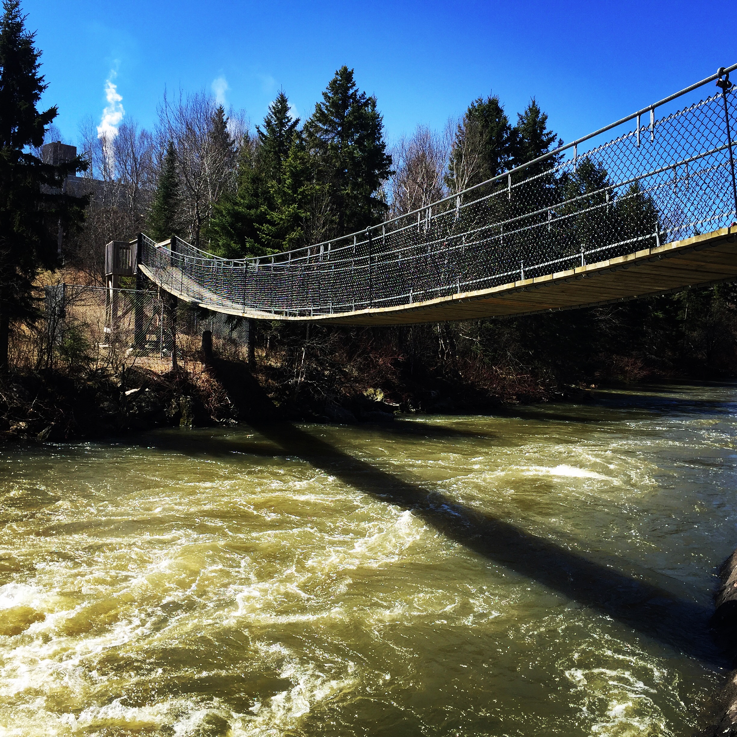 Check out the Roy Wilson Suspension bridge in Dryden.