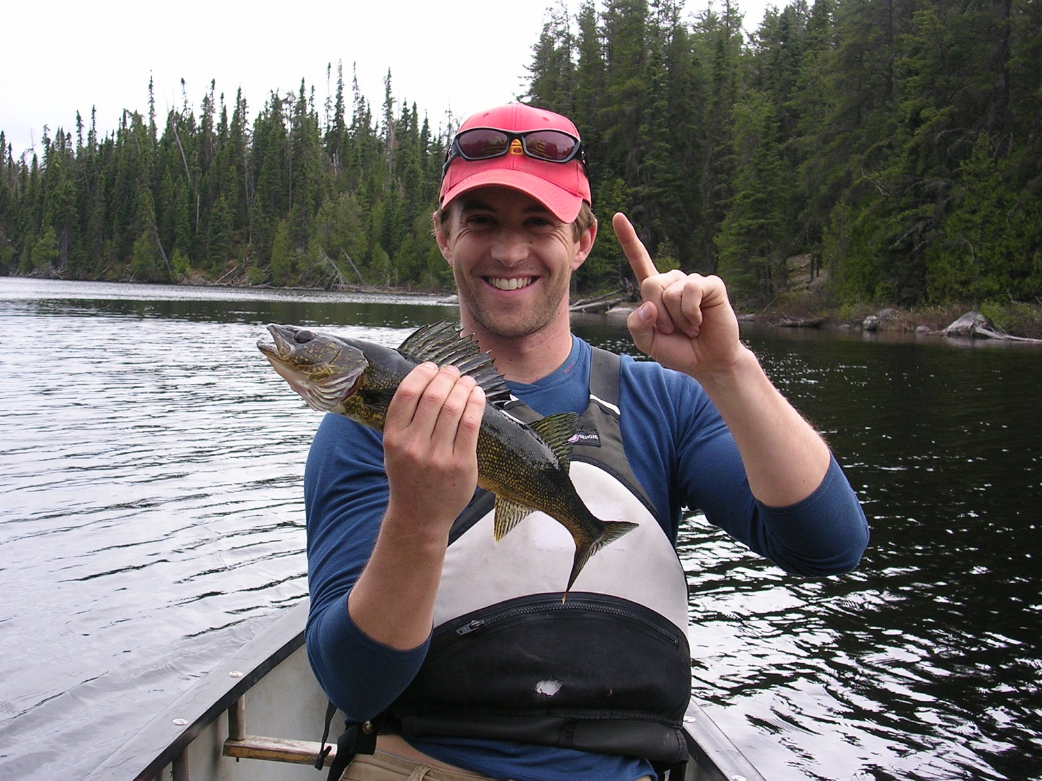 a man smiles as he holds up a walleye while sitting in a canoe, floating on a lake in a forest.