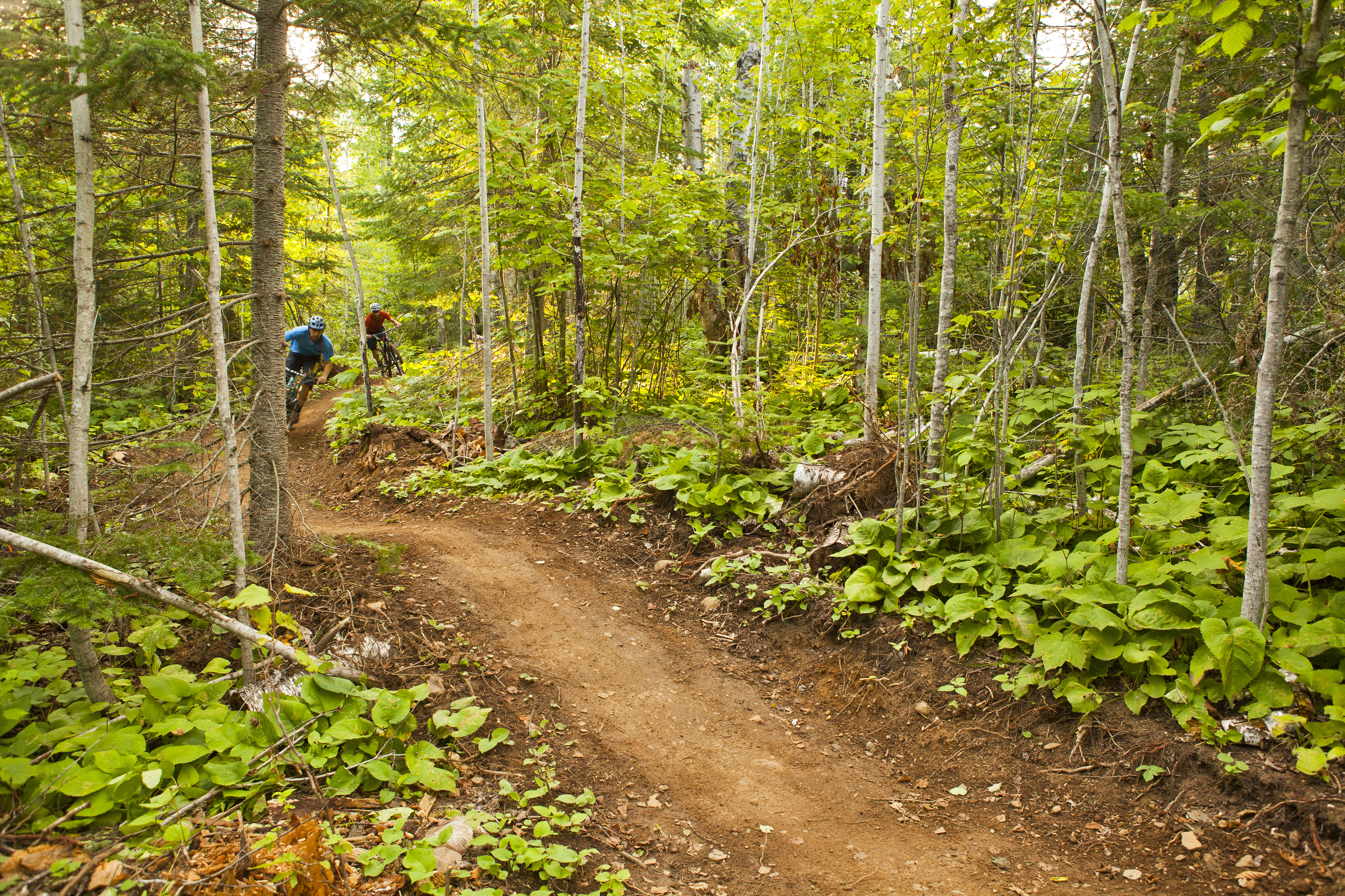 Thunder Bay Tourism