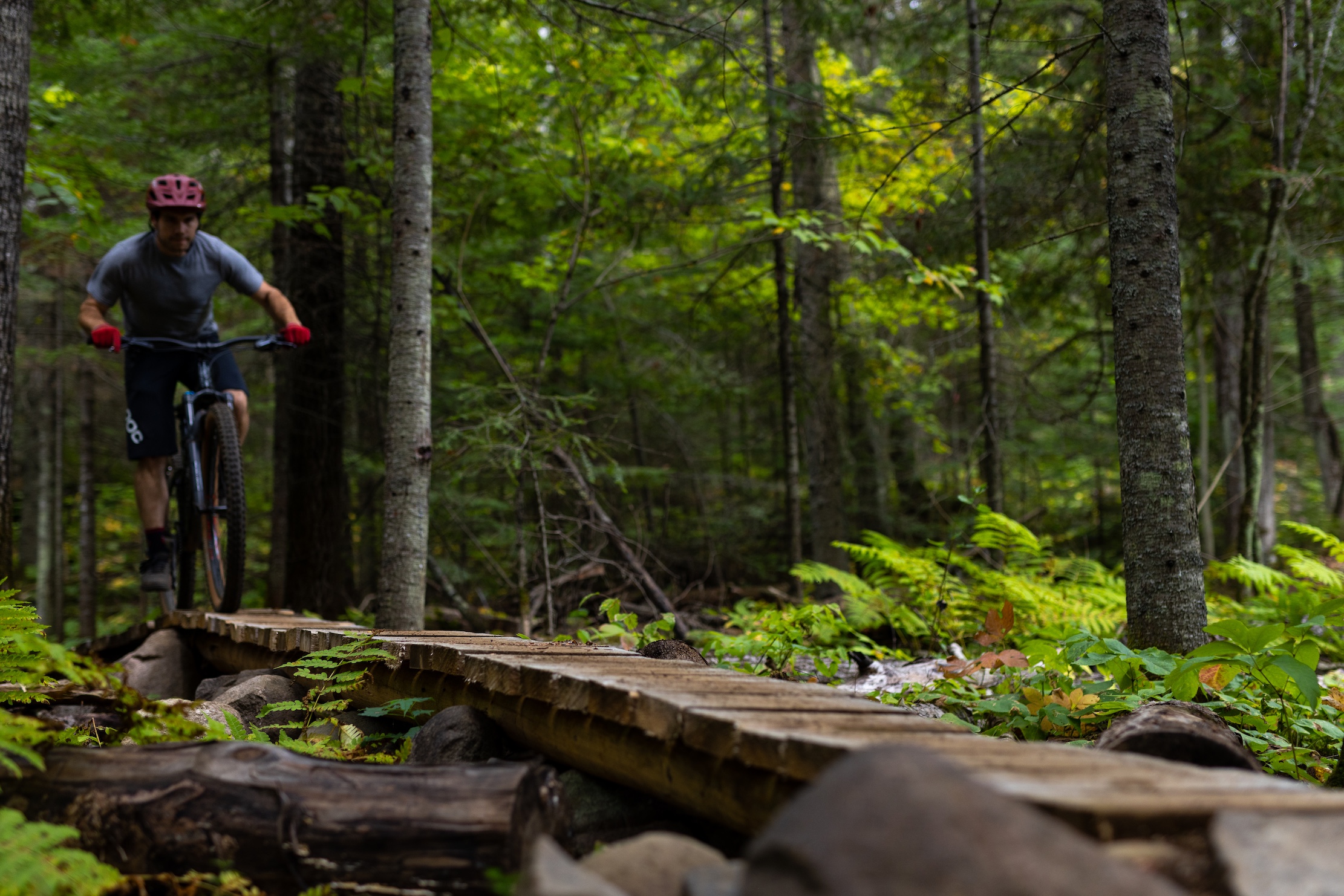 Trowbridge Trails in Thunder Bay.  Credit: Tim Banfield | @timbanfield