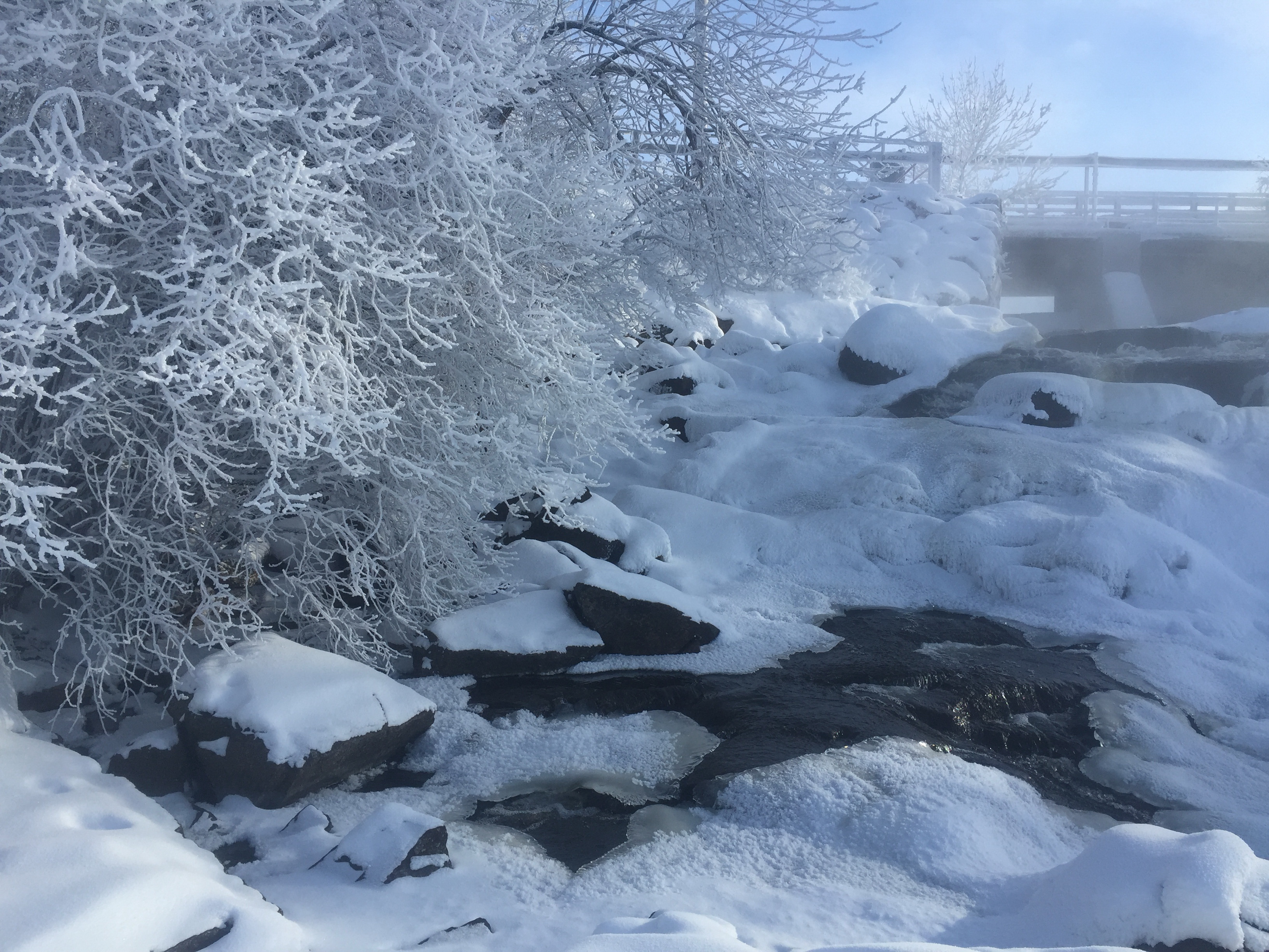 Nestor Falls is beautiful in winter or summer. 