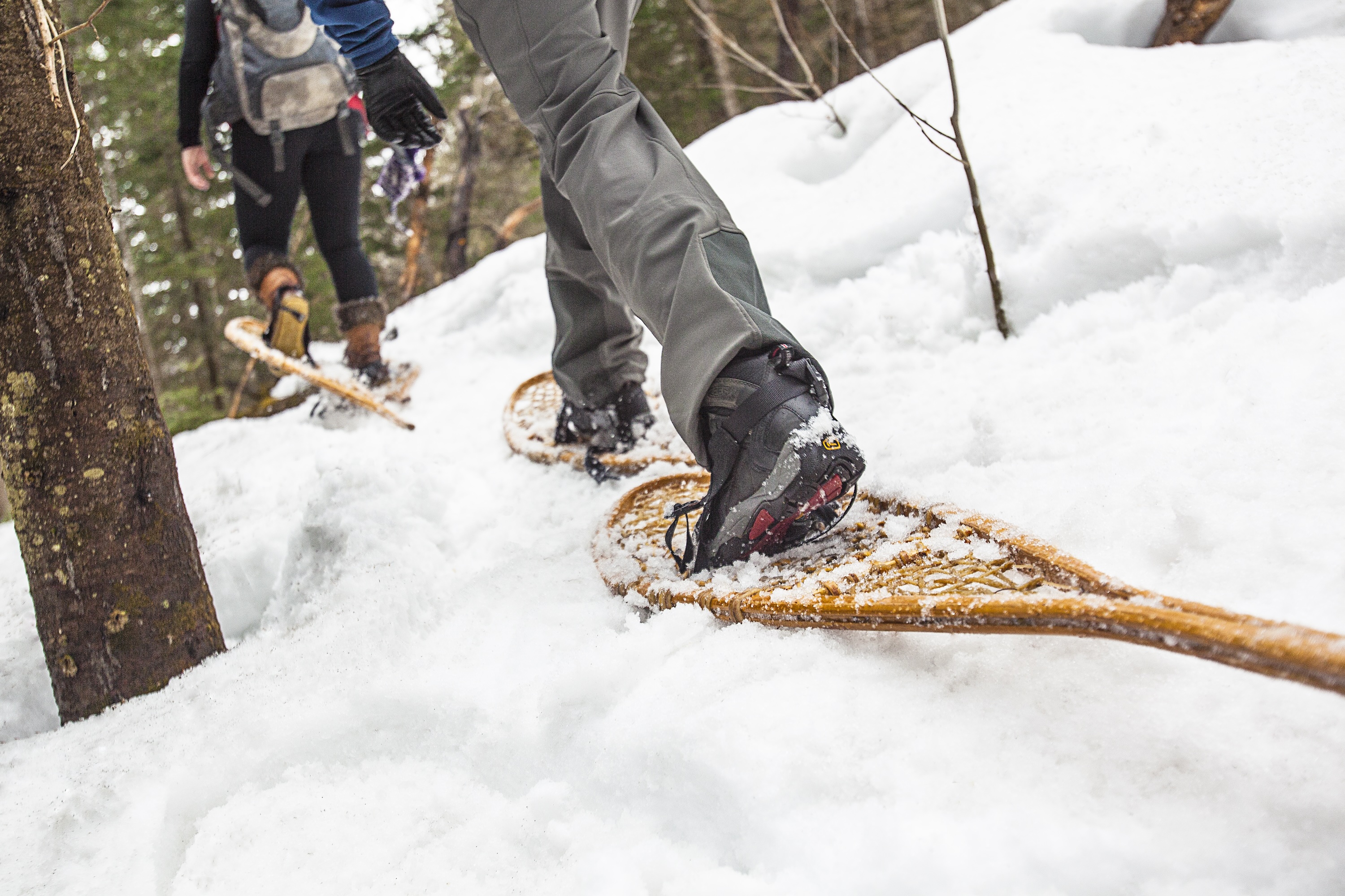 snowshoeing in the forest