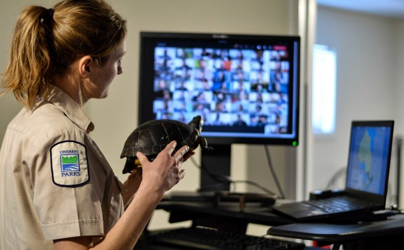 A parks worker standing in front of a display monitor holds up a tortoise.