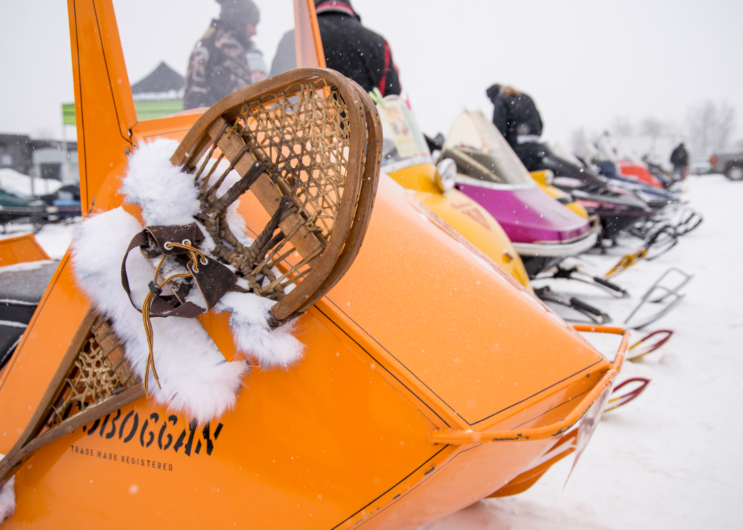 a lineup of vintage snowmobiles at the Big Winter Festiglace, under a snowy sky.