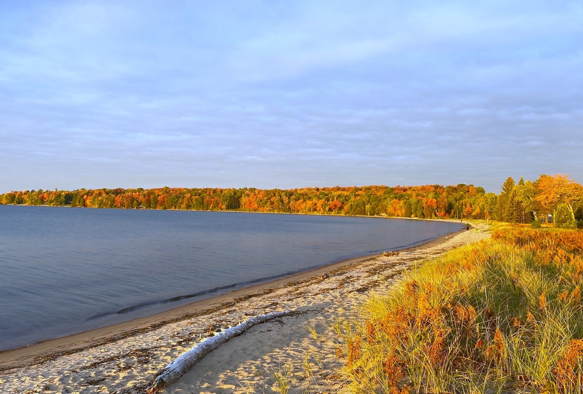 a sandy beach along Batchawana Bay at sunrise, with the forest leaves along the water's edge changing to bright yellow and orange.