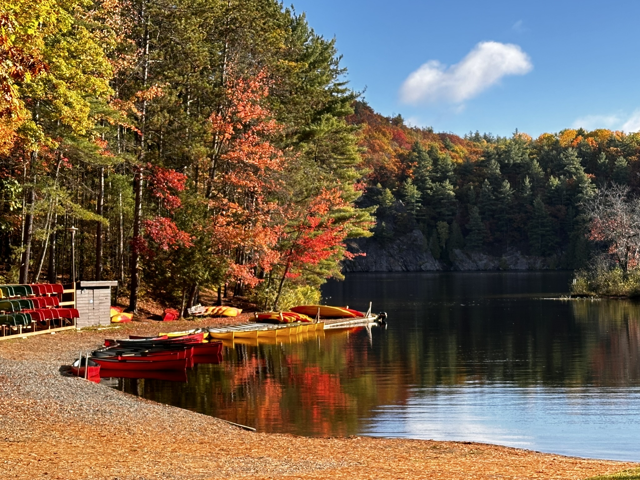 A forested lake's shore with many docked canoes along the edge on a sunny day. The leaves are changing to bright red and gold.