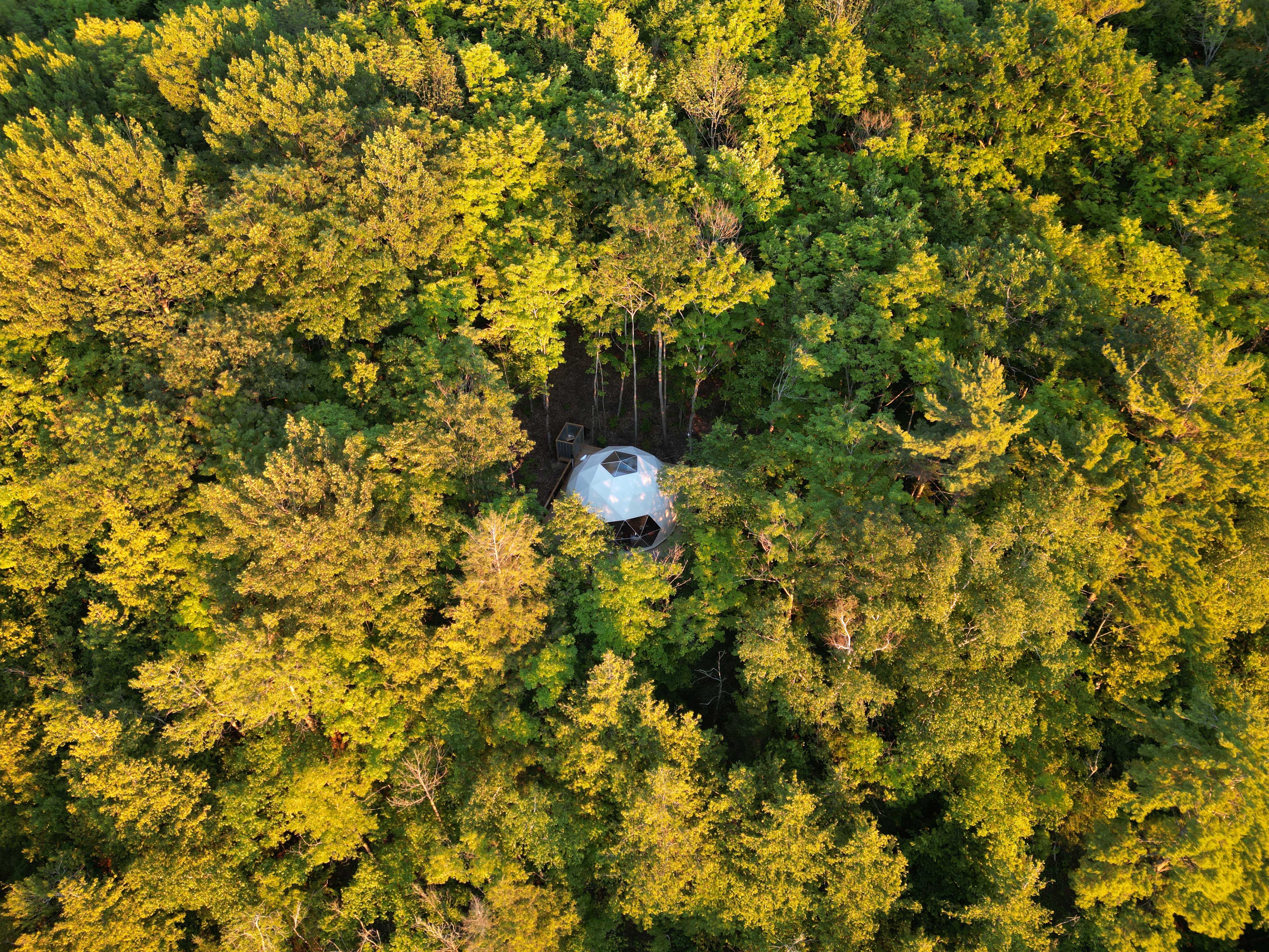 among the trees glamping geodome