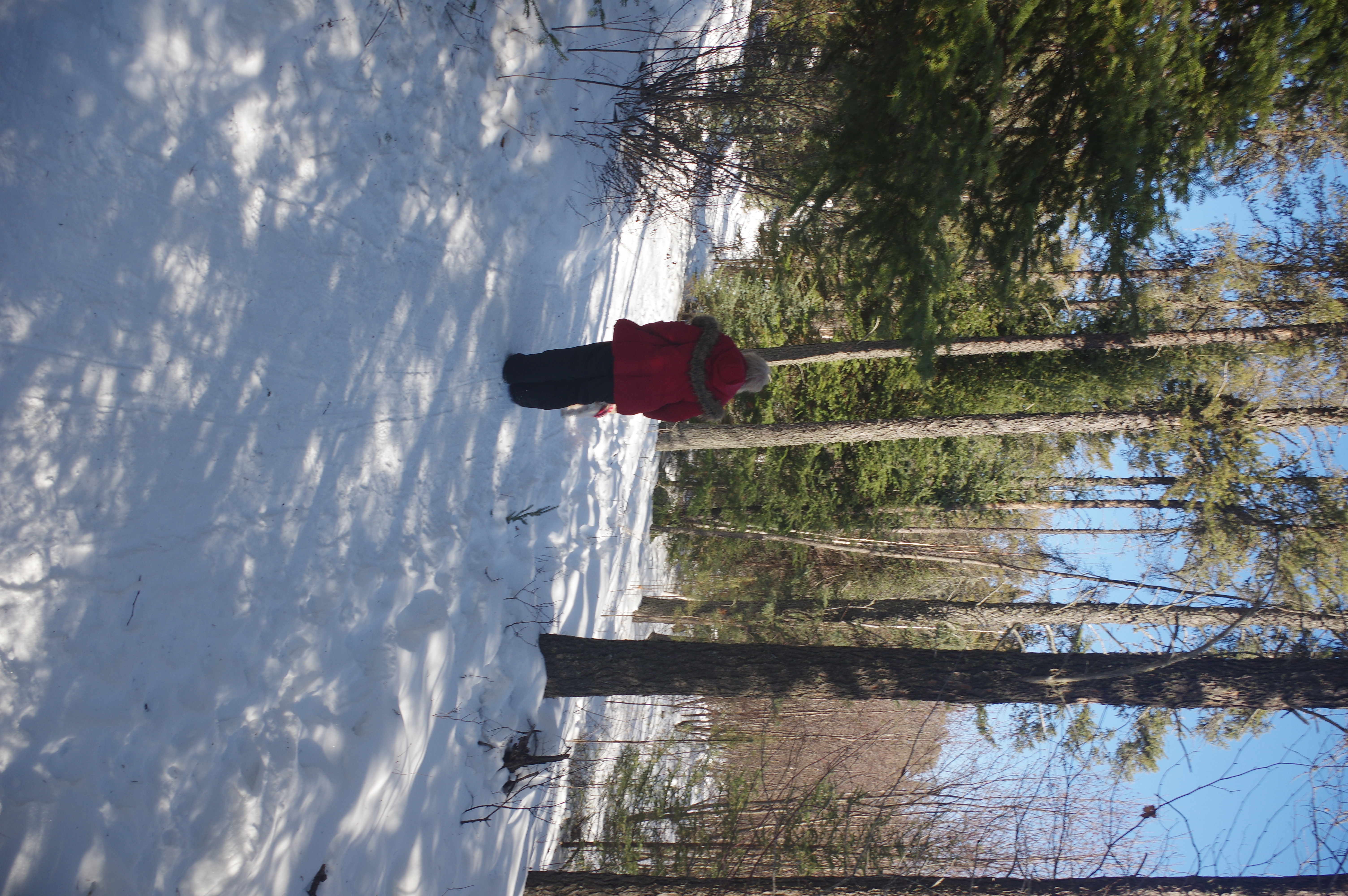 The walk into Forgotten Lake takes about 10 minutes from the road.